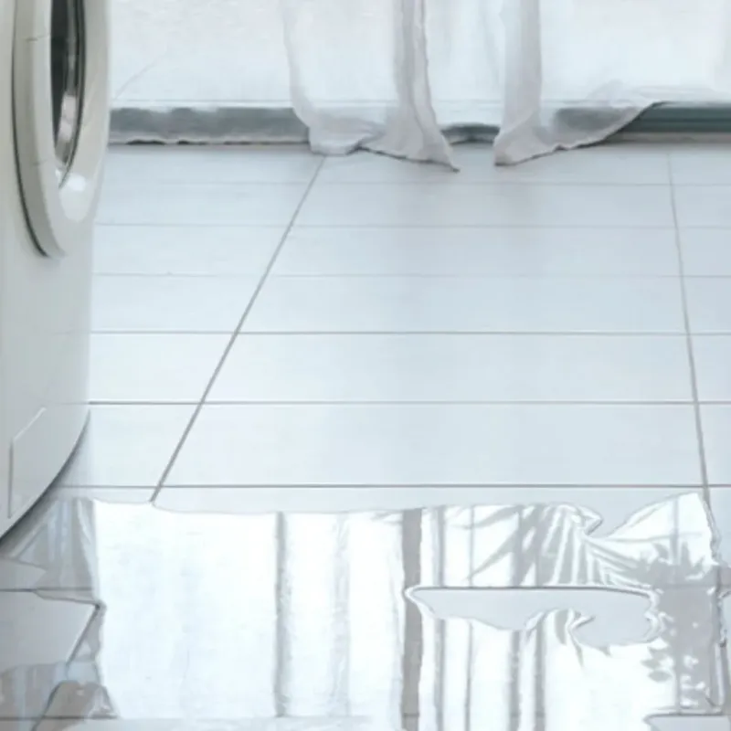 Appliance Leak Cleanup in Mount Airy, MD