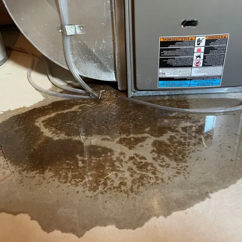 Pipe Burst and Leak Restoration in Mount Airy, MD